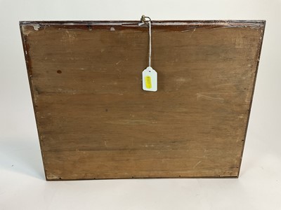 Lot 964 - Early/Mid 20th century display of butterflies in glazed case