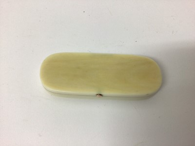 Lot 751 - Fine large Georgian ivory tooth pick case with classical jasperware plaque to lid with yellow metal and cut steel bezel 9.1 cm x 3.5 cm