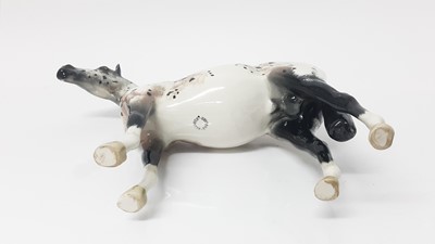 Lot 34 - Beswick Appaloosa Stallion, model no. 1772, designed by Arthur Gredington, 20cm high