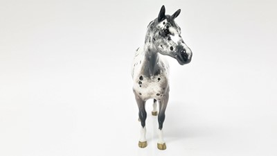 Lot 41 - Beswick Appaloosa Stallion, model no. 1772, designed by Arthur Gredington, 20cm high