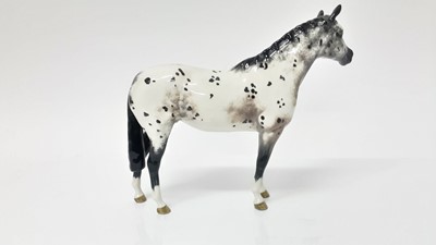 Lot 41 - Beswick Appaloosa Stallion, model no. 1772, designed by Arthur Gredington, 20cm high