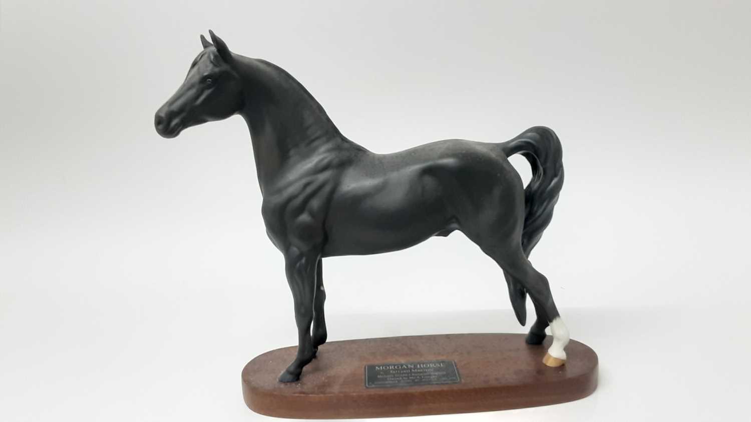Lot 64 - Beswick Connoisseur model Morgan Horse - Tarryall Maestro, model no. 2605, designed by Graham Tongue, 29.2cm high