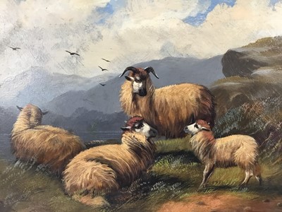 Lot 32 - Manner of John W. Morris oil on board - sheep in a mountainous river landscape, 24cm x 30cm