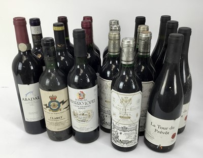 Lot 98 - Wine - nineteen bottles, various to include Marques De Riscal Rioja 2003 and others