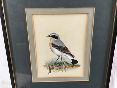 Lot 32 - Peter Hayman (b.1930) watercolour - wheat ear, signed