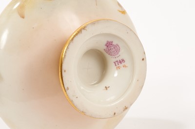 Lot 217 - Pair Worcester vases