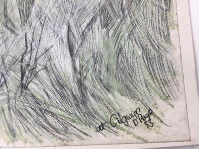 Lot 8 - *Dione Page (1936-2021) two works, gouache and pastel on paper - ruined house and another ‘At Cilgwyn’, signed, unframed