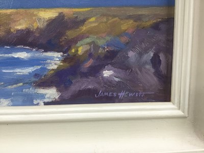 Lot 36 - James Hewitt (b. 1934) oil on board - ‘Summer in Cornwall’, signed and titled verso, 38cm x 14cm, framed