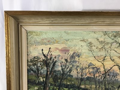 Lot 34 - Harold Warner (1914-2010) oil on board, ‘River Colne Early Morning’, 45cm x 35cm, framed