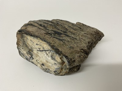 Lot 58 - A large woolly mammoth tooth, discovered on the North Sea bed