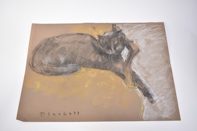 Lot 1110 - Joseph Plaskett (1918-2014) group of eight pastels on paper, cat studies, approximately 66cm x 52cm and smaller, unframed (8)