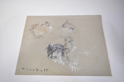Lot 1110 - Joseph Plaskett (1918-2014) group of eight pastels on paper, cat studies, approximately 66cm x 52cm and smaller, unframed (8)