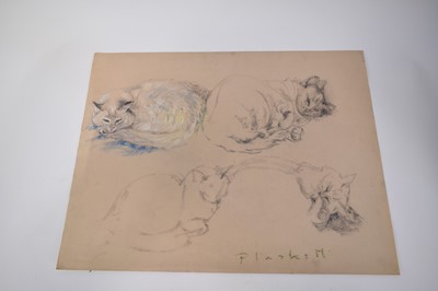 Lot 1110 - Joseph Plaskett (1918-2014) group of eight pastels on paper, cat studies, approximately 66cm x 52cm and smaller, unframed (8)