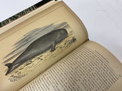 Lot 701 - Bombay Natural History Society. The Journal ..., vols. 1 (1886) - 51 (1951) bound in half calf and cloth (52 volumes)