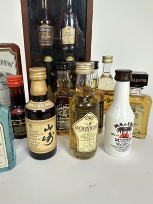 Lot 29 - Miniatures, 18 bottles, to include cognac, Japanese whisky, boxed sets etc
