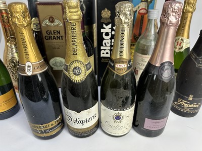 Lot 55 - Mixed group to include, Black & White whisky, Glen Grant 10 year old, boxed Metaxa, assorted champagnes and other bottles