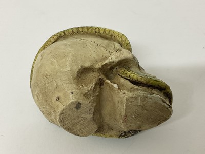Lot 81 - Small skull with snake running through its open mouth