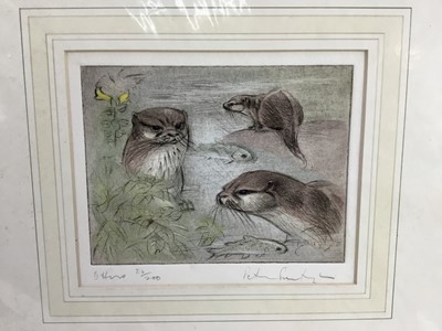 Lot 7 - Peter Partington (b. 1941) pair of aquatints - 'Otters' and 'Lambing Shed', both signed titled and numbered in pencil