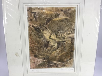 Lot 7 - Peter Partington (b. 1941) pair of aquatints - 'Otters' and 'Lambing Shed', both signed titled and numbered in pencil