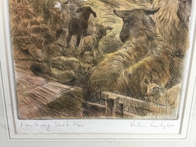 Lot 7 - Peter Partington (b. 1941) pair of aquatints - 'Otters' and 'Lambing Shed', both signed titled and numbered in pencil
