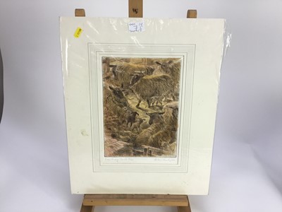 Lot 7 - Peter Partington (b. 1941) pair of aquatints - 'Otters' and 'Lambing Shed', both signed titled and numbered in pencil