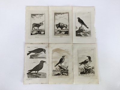 Lot 18 - 30 plates from De Buffon's Natural History of 1812, approx 18cm x 12cm