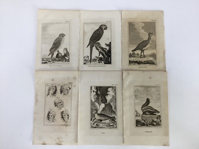 Lot 18 - 30 plates from De Buffon's Natural History of 1812, approx 18cm x 12cm