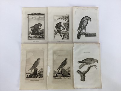 Lot 18 - 30 plates from De Buffon's Natural History of 1812, approx 18cm x 12cm
