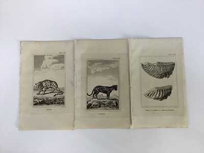 Lot 18 - 30 plates from De Buffon's Natural History of 1812, approx 18cm x 12cm