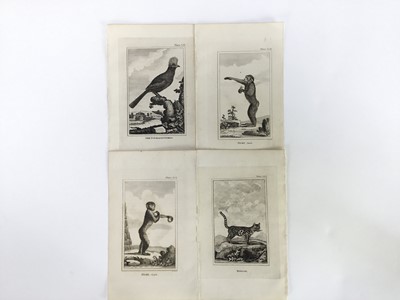 Lot 18 - 30 plates from De Buffon's Natural History of 1812, approx 18cm x 12cm