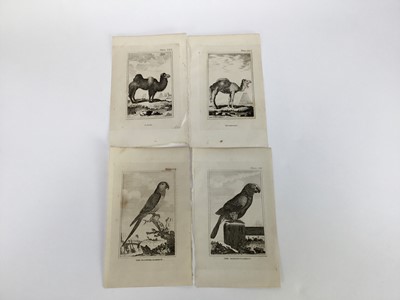 Lot 18 - 30 plates from De Buffon's Natural History of 1812, approx 18cm x 12cm