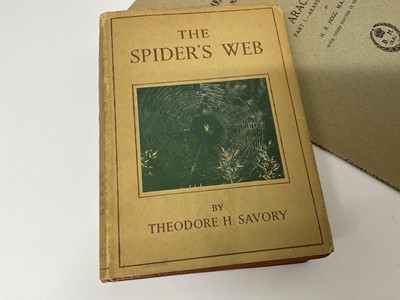 Lot 59 - Terrifying collection of books on spiders