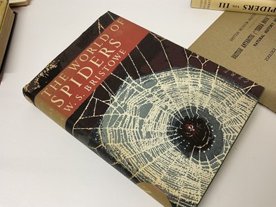 Lot 59 - Terrifying collection of books on spiders