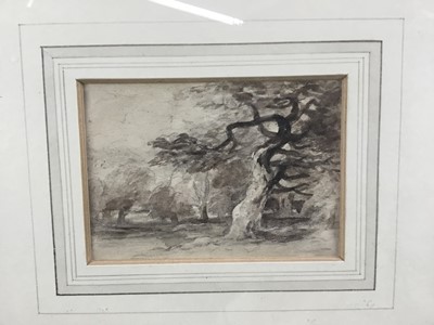 Lot 67 - David Cox (1783-1859), monochrome watercolour, Trees, 9cm x 12cm, in glazed frame. Rowley Gallery stamp verso