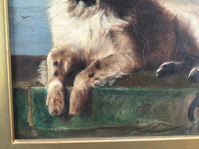 Lot 85 - After Sir Edwin Landseer a 19th century oil on canvas - St. Bernard dog, in original gilt frame. 29 x 39cm.