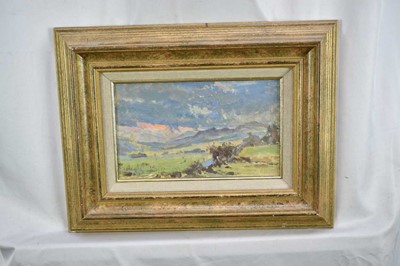 Lot 25 - Manner of Diana Armfield (b.1920) oil on board - Extensive Landscape, bearing initials, 15cm x 23.5cm, framed
