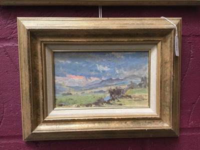 Lot 25 - Manner of Diana Armfield (b.1920) oil on board - Extensive Landscape, bearing initials, 15cm x 23.5cm, framed