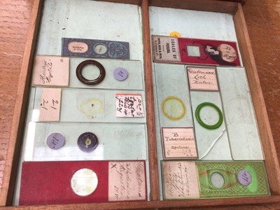 Lot 2554 - Interesting collection of approximately 160 19th century microscope slides with ink annotations, some dated, both animal and botanical samples noted including 'section kidney of monkey', 'hairs- ba...