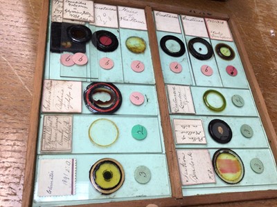 Lot 2554 - Interesting collection of approximately 160 19th century microscope slides with ink annotations, some dated, both animal and botanical samples noted including 'section kidney of monkey', 'hairs- ba...