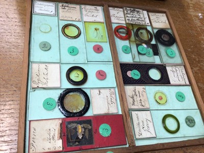 Lot 2554 - Interesting collection of approximately 160 19th century microscope slides with ink annotations, some dated, both animal and botanical samples noted including 'section kidney of monkey', 'hairs- ba...