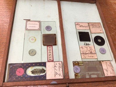 Lot 2554 - Interesting collection of approximately 160 19th century microscope slides with ink annotations, some dated, both animal and botanical samples noted including 'section kidney of monkey', 'hairs- ba...