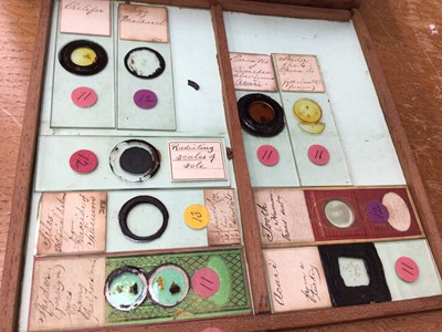 Lot 2554 - Interesting collection of approximately 160 19th century microscope slides with ink annotations, some dated, both animal and botanical samples noted including 'section kidney of monkey', 'hairs- ba...