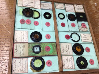 Lot 2554 - Interesting collection of approximately 160 19th century microscope slides with ink annotations, some dated, both animal and botanical samples noted including 'section kidney of monkey', 'hairs- ba...