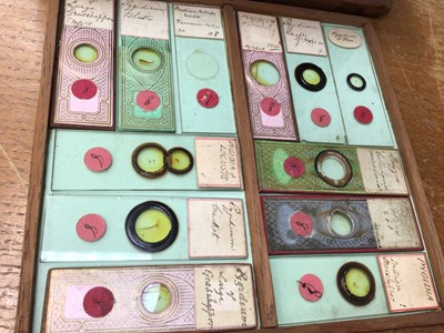 Lot 2554 - Interesting collection of approximately 160 19th century microscope slides with ink annotations, some dated, both animal and botanical samples noted including 'section kidney of monkey', 'hairs- ba...