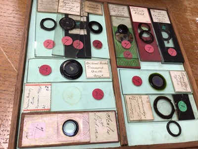 Lot 2554 - Interesting collection of approximately 160 19th century microscope slides with ink annotations, some dated, both animal and botanical samples noted including 'section kidney of monkey', 'hairs- ba...