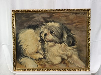 Lot 108 - B. Matrowers, oil on canvas laid on board, very hairy dog, signed and date '84, in gilt frame. 39 x 49cm.