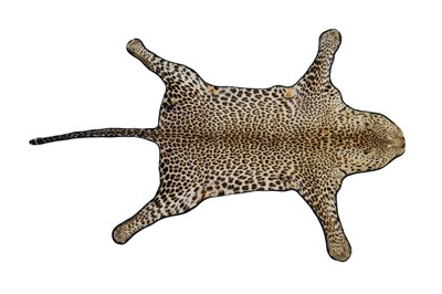 Lot 873 - Early 20th century Leopard skin rug on black backing, nose to tail 257cm, paw to paw 174cm