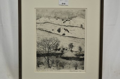 Lot 916 - *Jean Sturgis (1931-2018) etching - The Fellside in Winter, Kentmere, signed and dated ‘96, 5/30, 25cm x 20cm, in glazed frame
