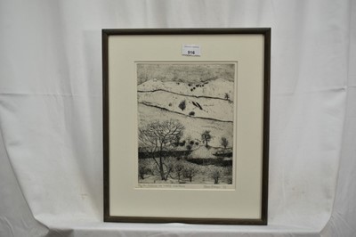 Lot 916 - *Jean Sturgis (1931-2018) etching - The Fellside in Winter, Kentmere, signed and dated ‘96, 5/30, 25cm x 20cm, in glazed frame