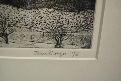 Lot 916 - *Jean Sturgis (1931-2018) etching - The Fellside in Winter, Kentmere, signed and dated ‘96, 5/30, 25cm x 20cm, in glazed frame